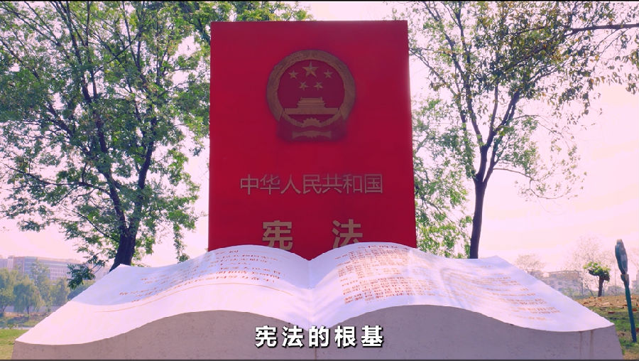 播放憲法宣傳片 (1).png